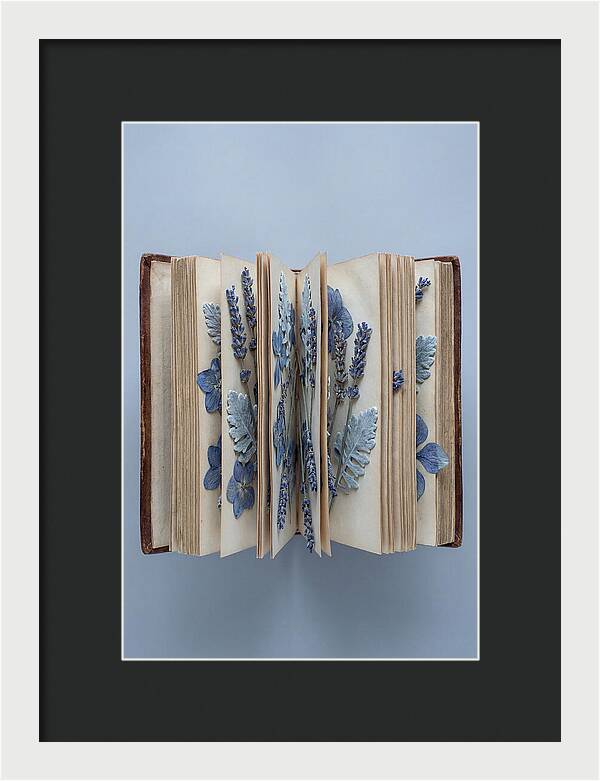 Pressed Flowers In An Old Book