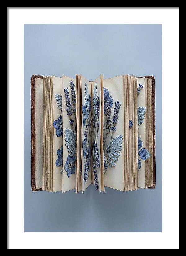 Pressed Flowers In An Old Book