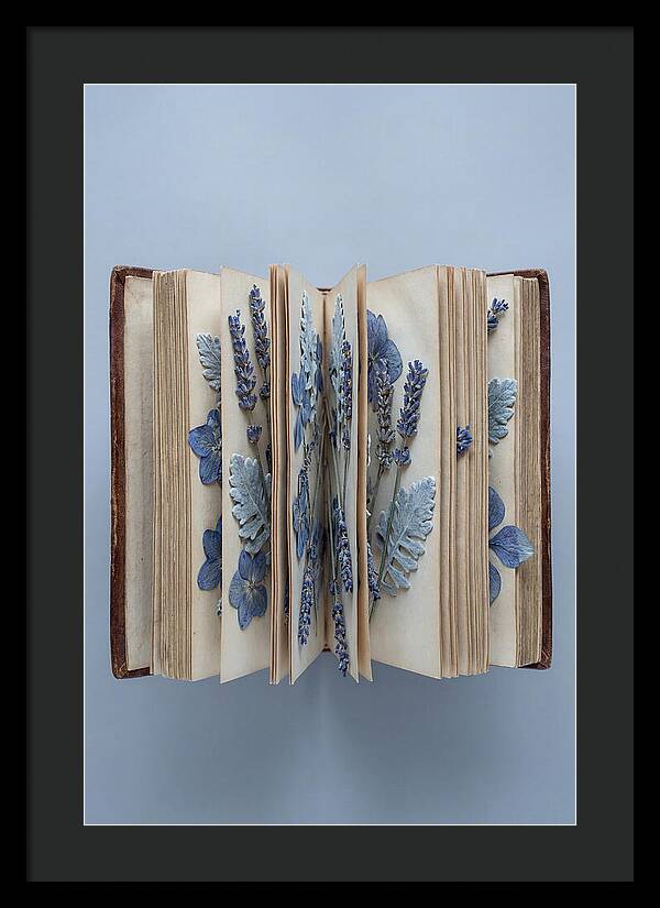 Pressed Flowers In An Old Book