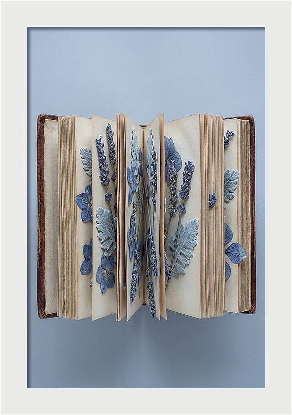 Pressed Flowers In An Old Book