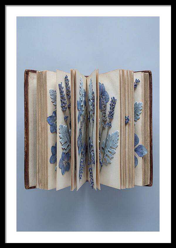 Pressed Flowers In An Old Book