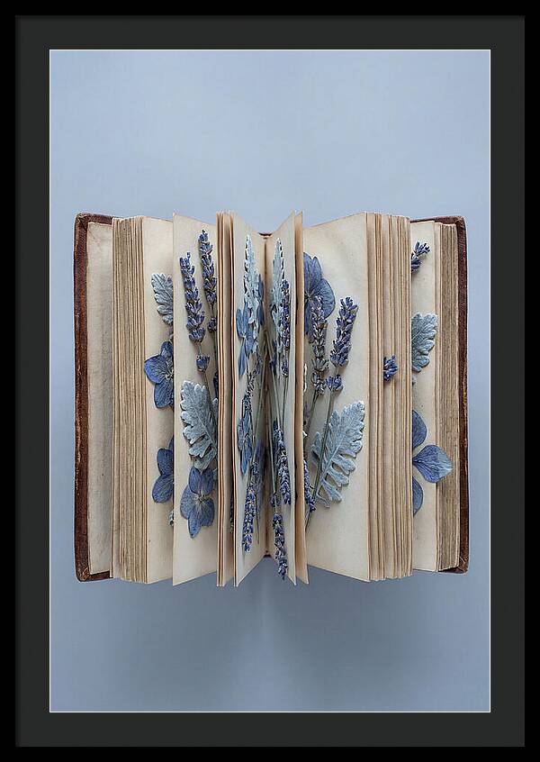 Pressed Flowers In An Old Book