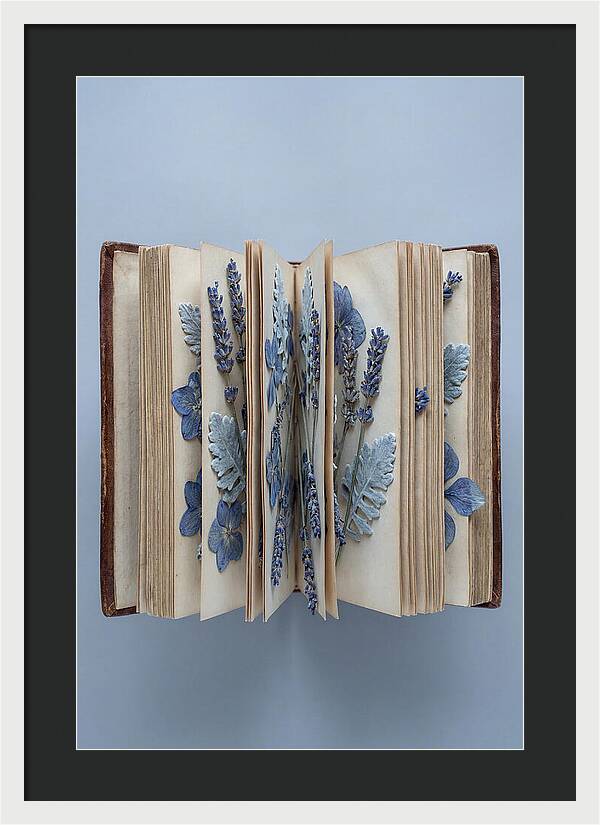 Pressed Flowers In An Old Book