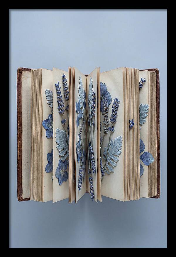 Pressed Flowers In An Old Book