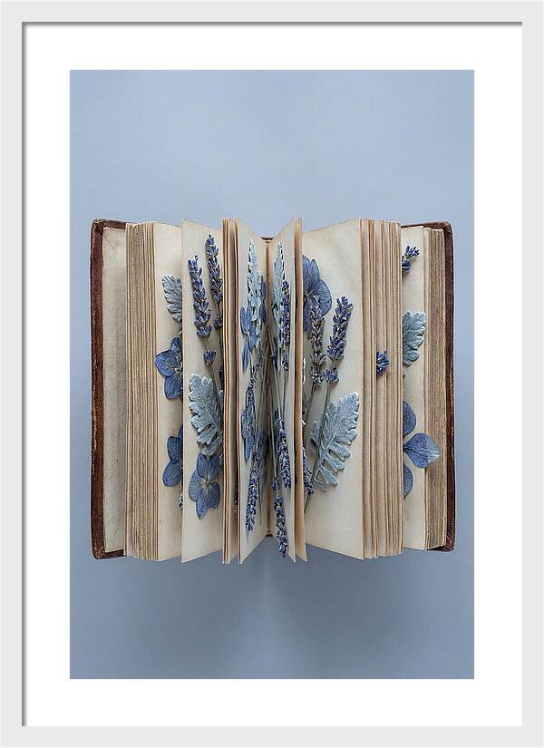 Pressed Flowers In An Old Book