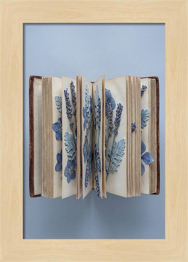 Pressed Flowers In An Old Book