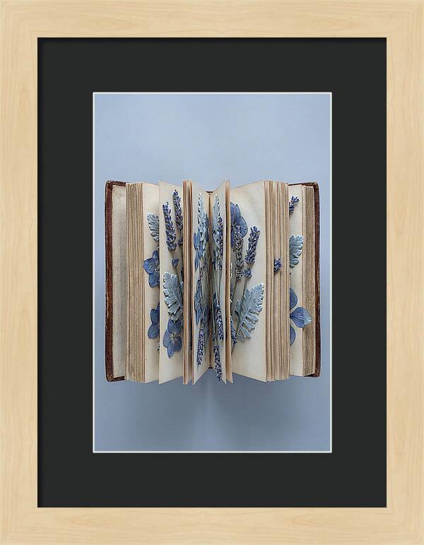 Pressed Flowers In An Old Book