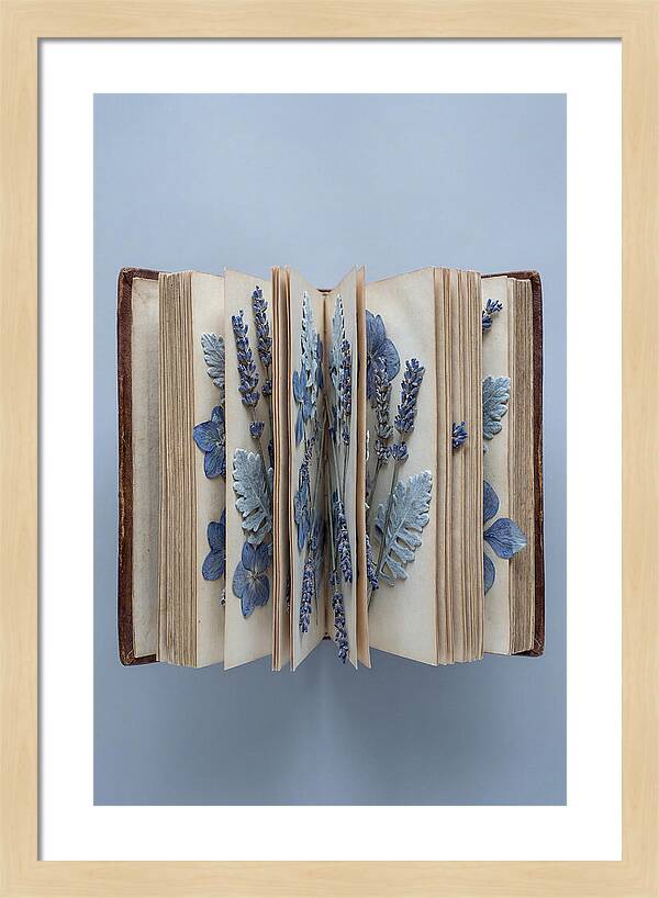 Pressed Flowers In An Old Book