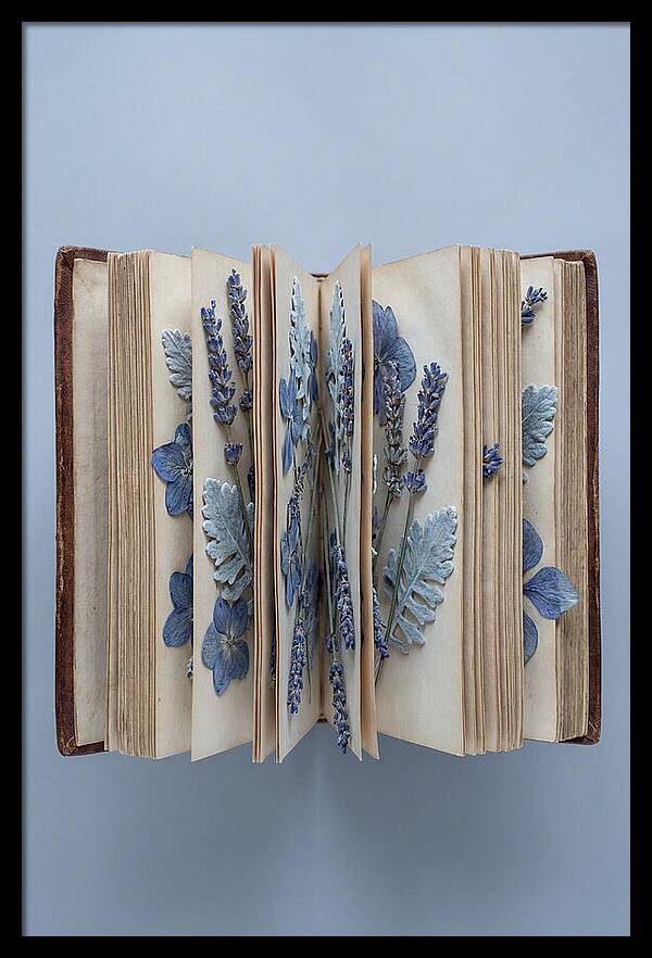 Pressed Flowers In An Old Book