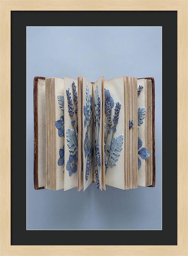 Pressed Flowers In An Old Book