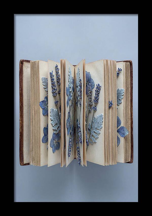 Pressed Flowers In An Old Book