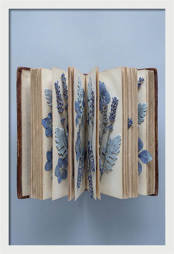 Pressed Flowers In An Old Book