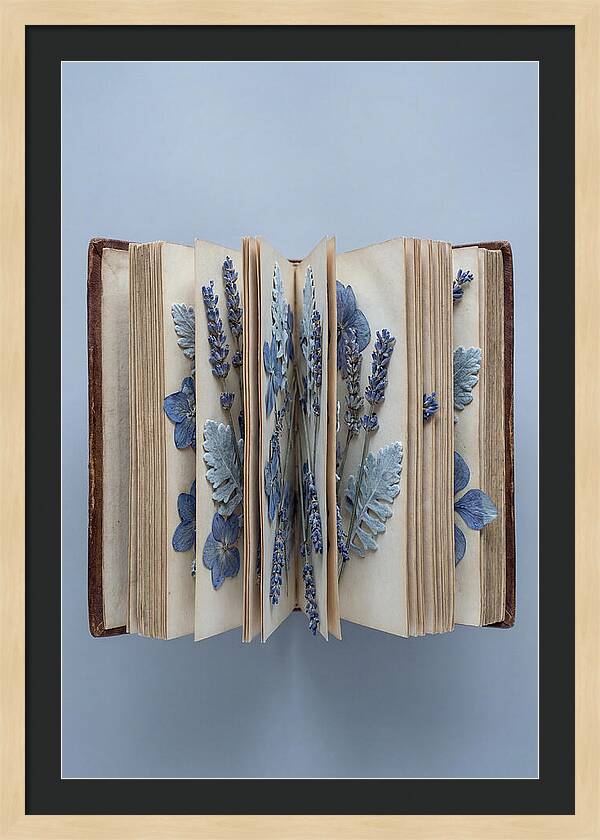 Pressed Flowers In An Old Book