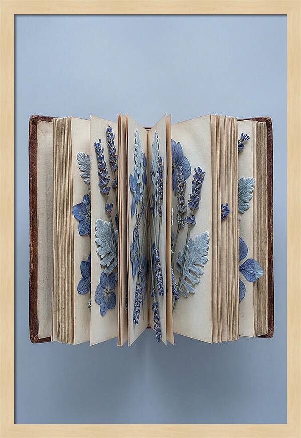 Pressed Flowers In An Old Book