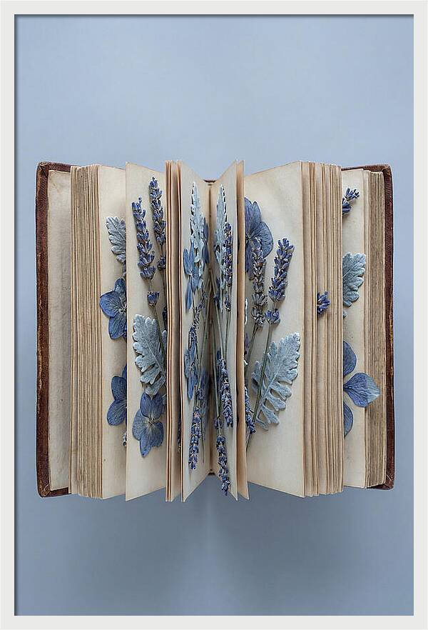 Pressed Flowers In An Old Book