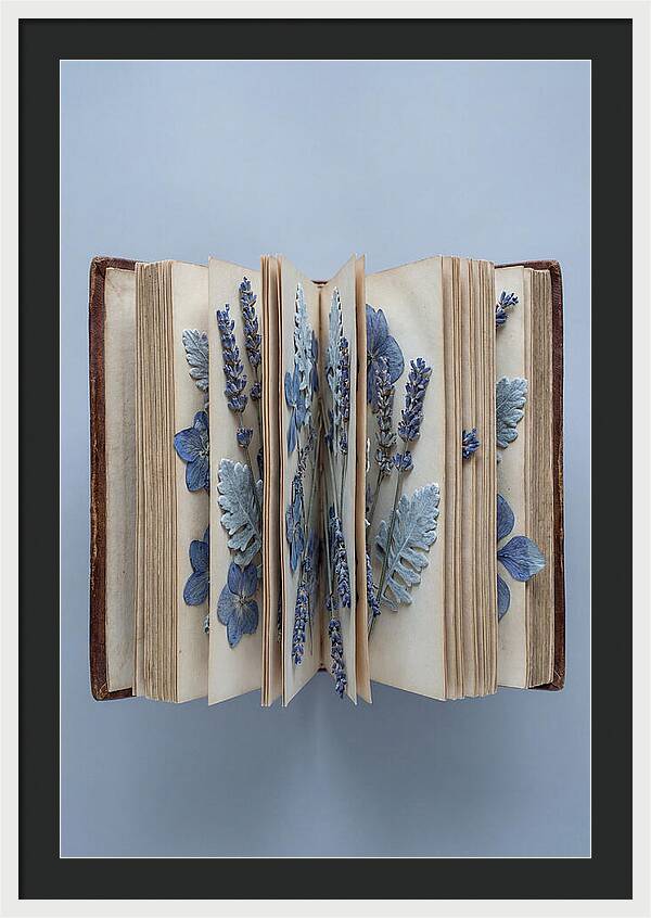Pressed Flowers In An Old Book