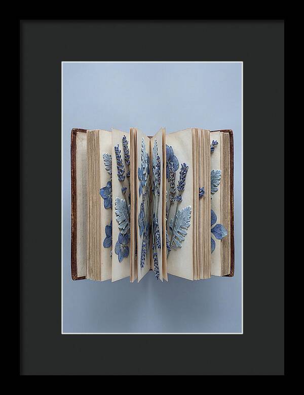 Pressed Flowers In An Old Book