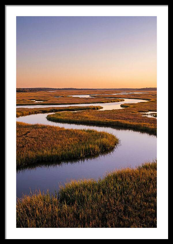 Prime Hook Marshes Serenity