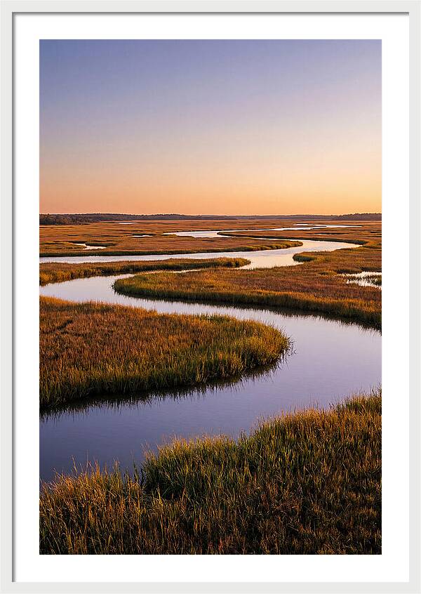Prime Hook Marshes Serenity