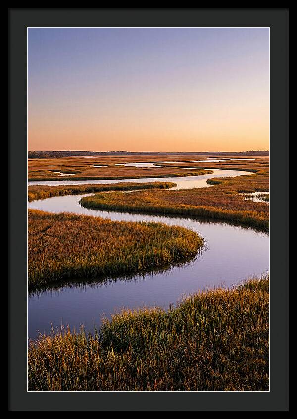 Prime Hook Marshes Serenity