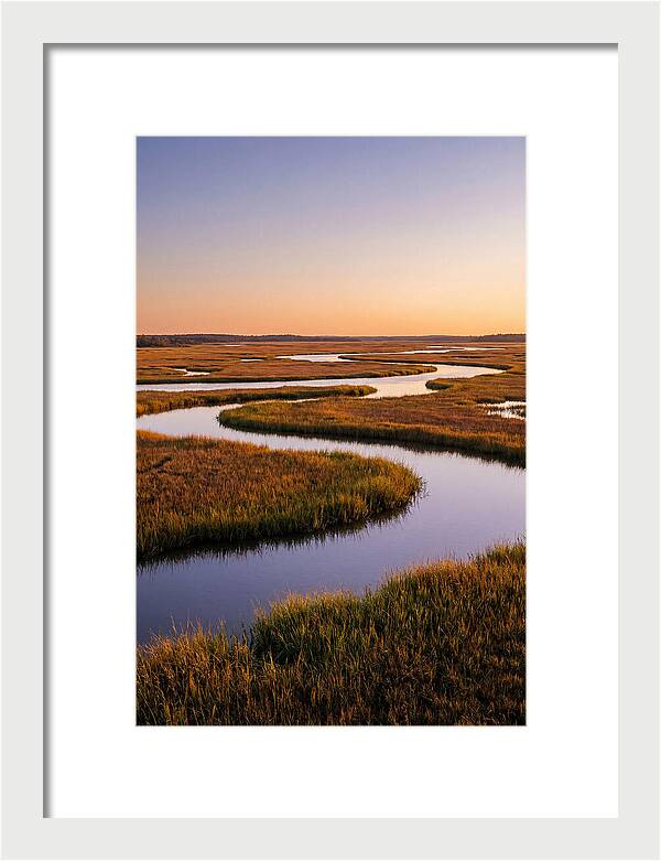 Prime Hook Marshes Serenity