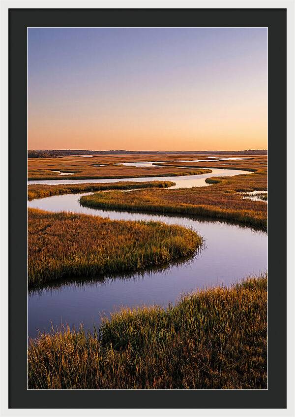 Prime Hook Marshes Serenity