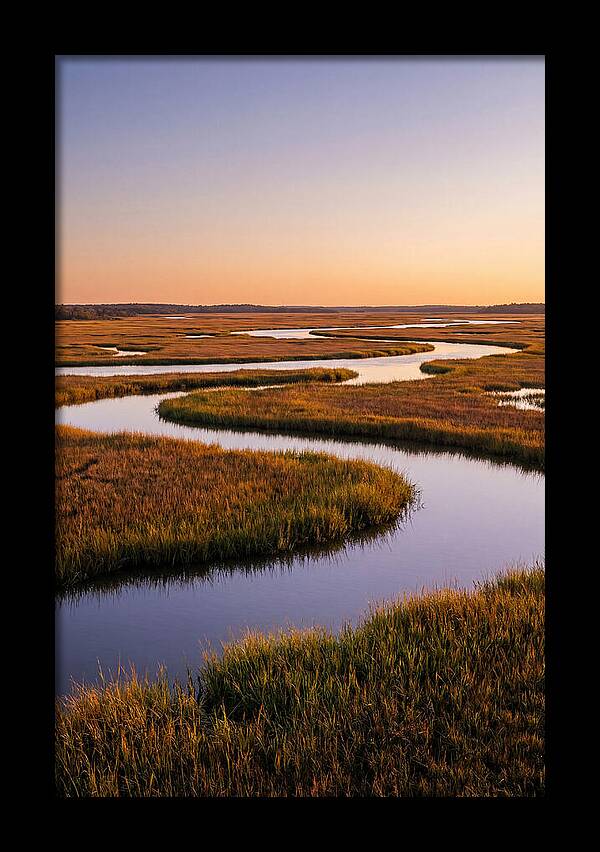 Prime Hook Marshes Serenity