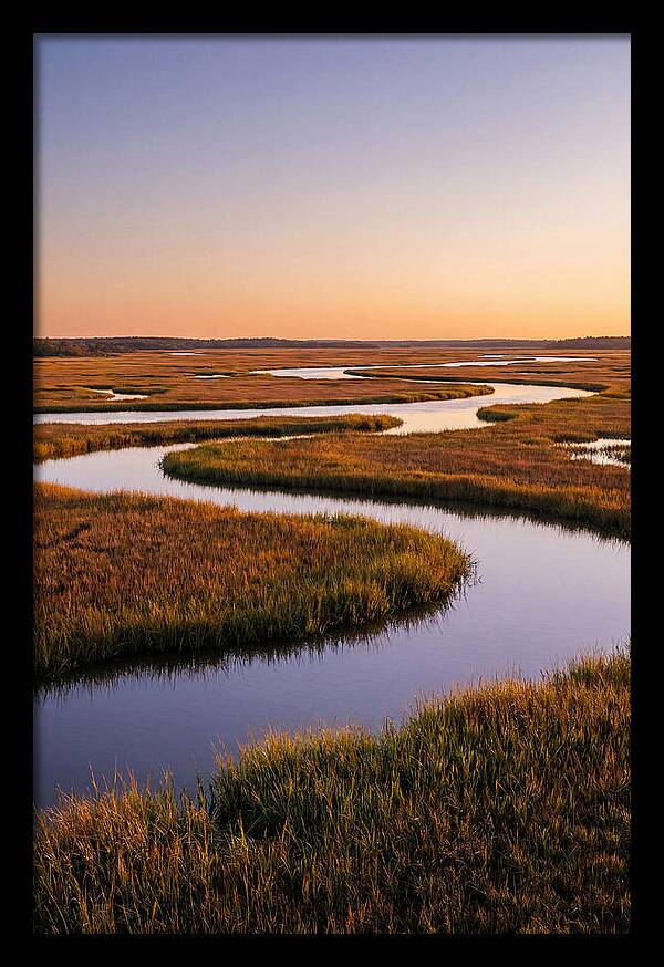 Prime Hook Marshes Serenity