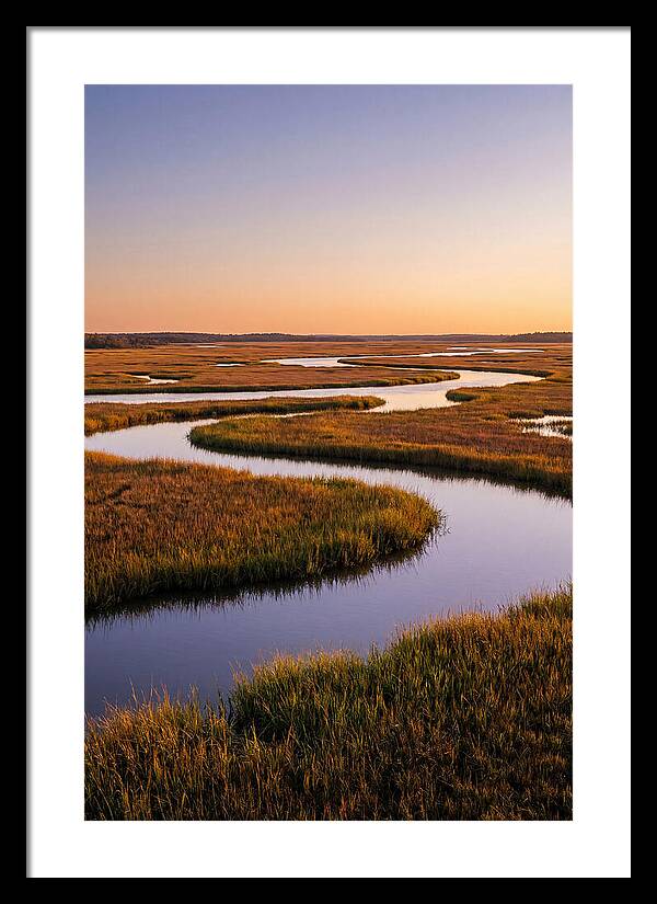 Prime Hook Marshes Serenity