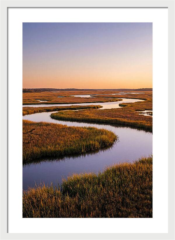 Prime Hook Marshes Serenity