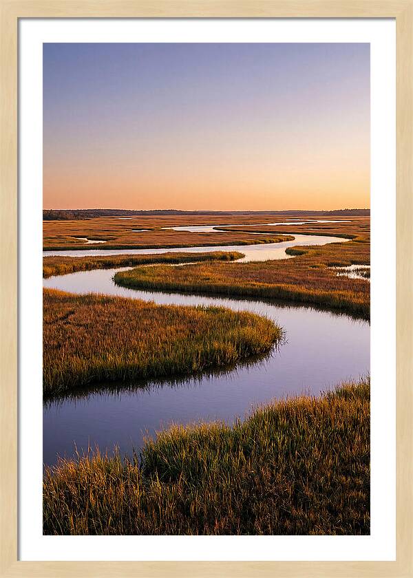Prime Hook Marshes Serenity