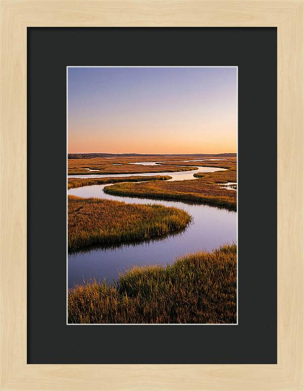Prime Hook Marshes Serenity