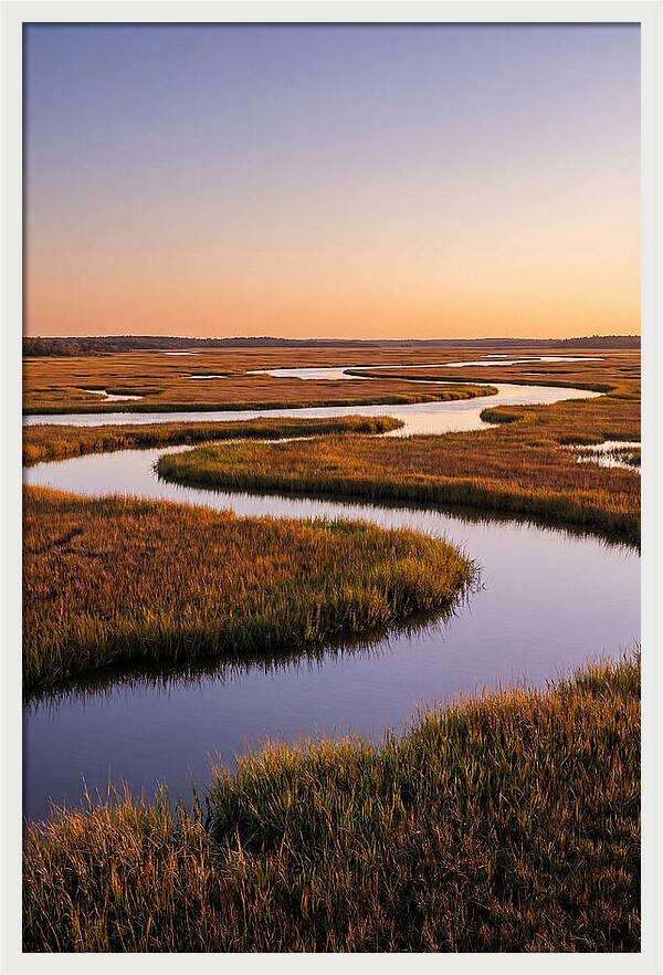 Prime Hook Marshes Serenity