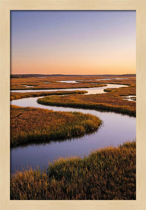 Prime Hook Marshes Serenity