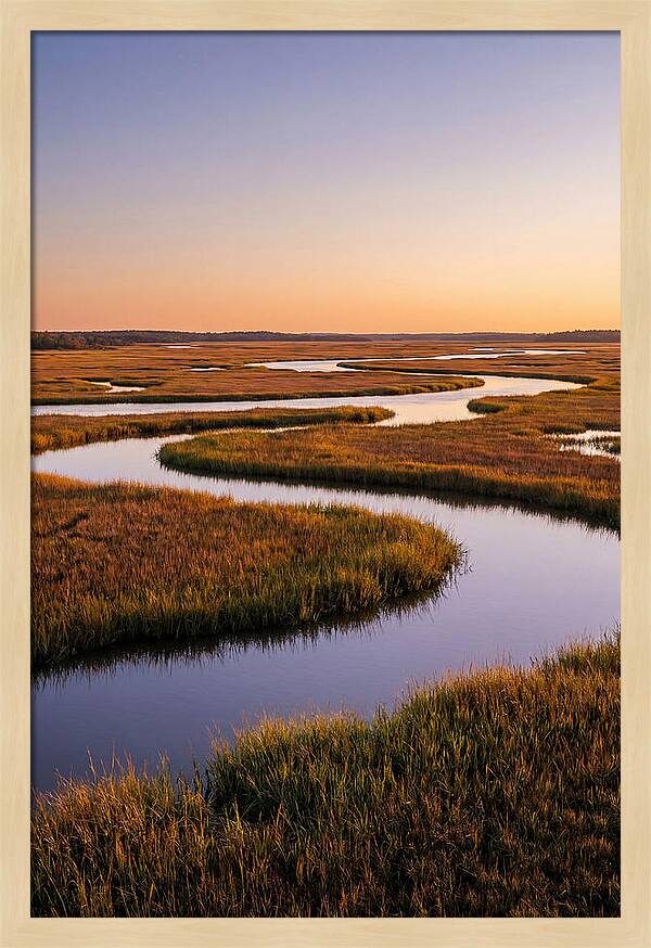 Prime Hook Marshes Serenity