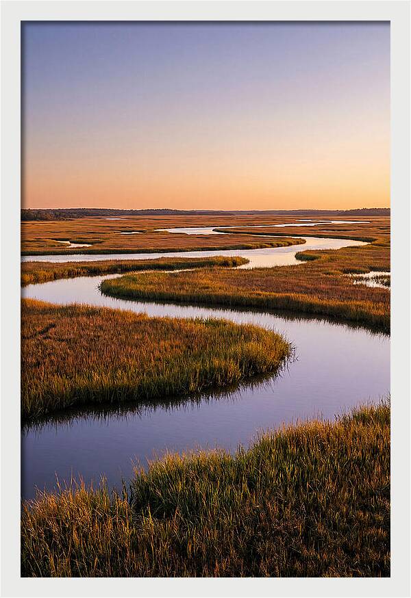 Prime Hook Marshes Serenity
