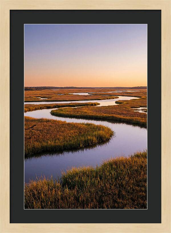 Prime Hook Marshes Serenity