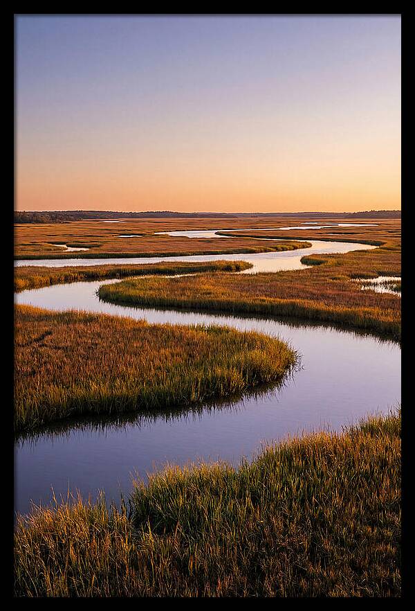 Prime Hook Marshes Serenity