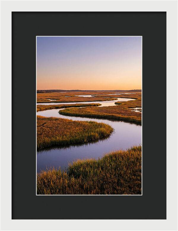 Prime Hook Marshes Serenity