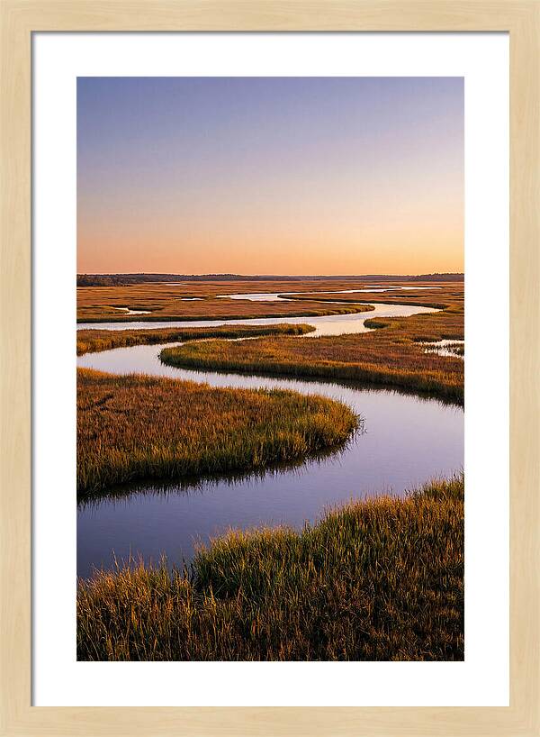 Prime Hook Marshes Serenity