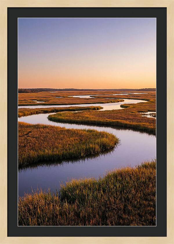 Prime Hook Marshes Serenity