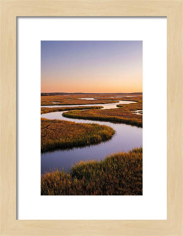 Prime Hook Marshes Serenity