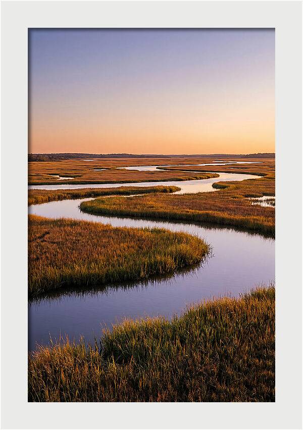 Prime Hook Marshes Serenity
