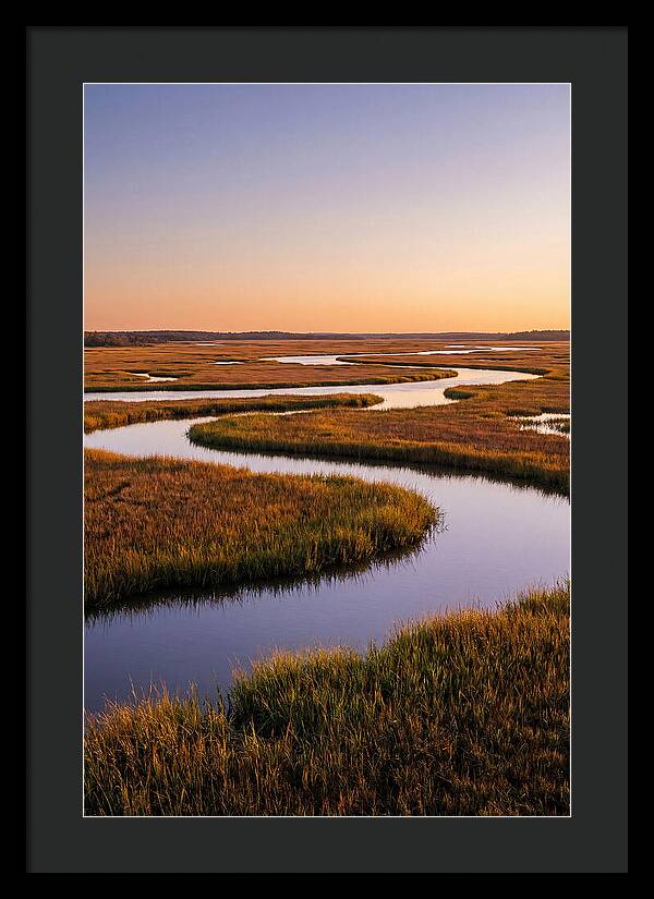Prime Hook Marshes Serenity