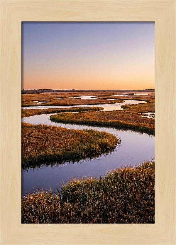 Prime Hook Marshes Serenity