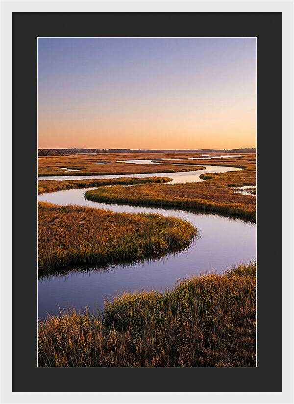 Prime Hook Marshes Serenity