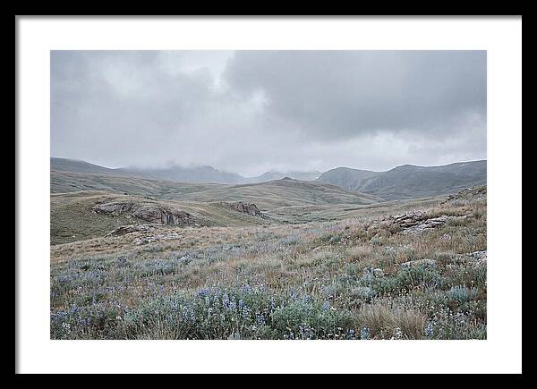 Pristine Alpine Meadow
