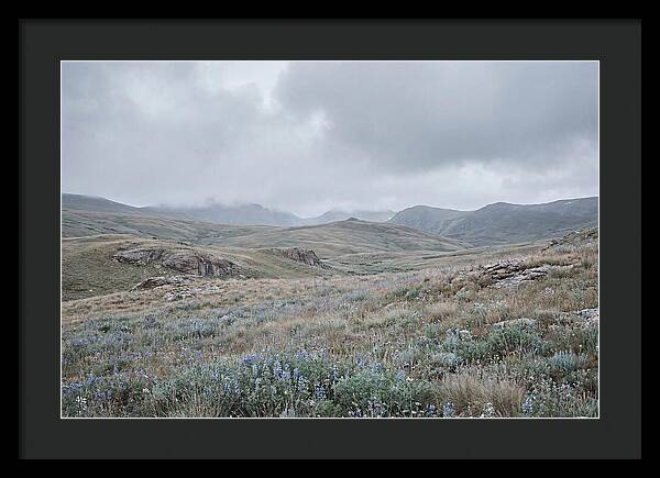 Pristine Alpine Meadow