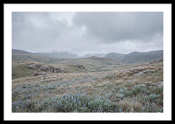 Pristine Alpine Meadow
