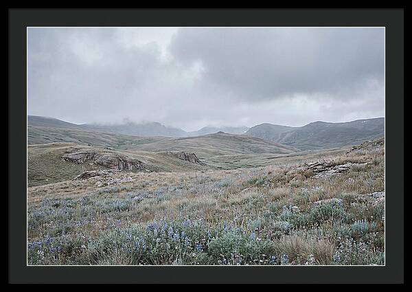 Pristine Alpine Meadow
